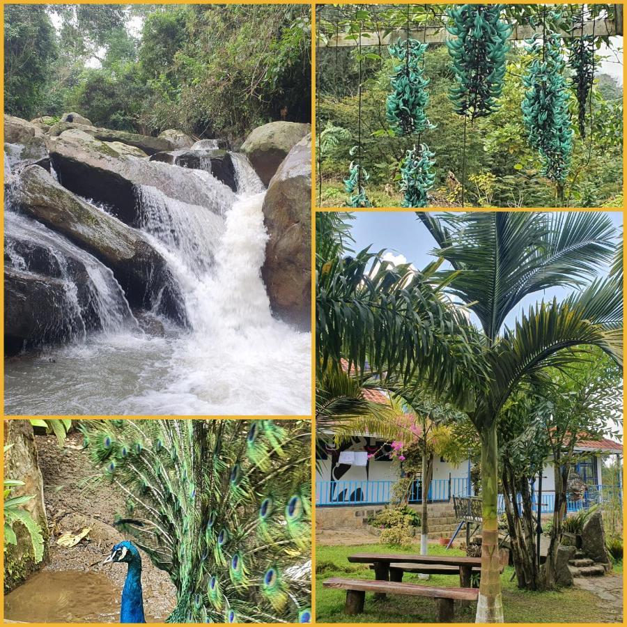 Finca Jardin Del Agua Sasaima Exterior photo