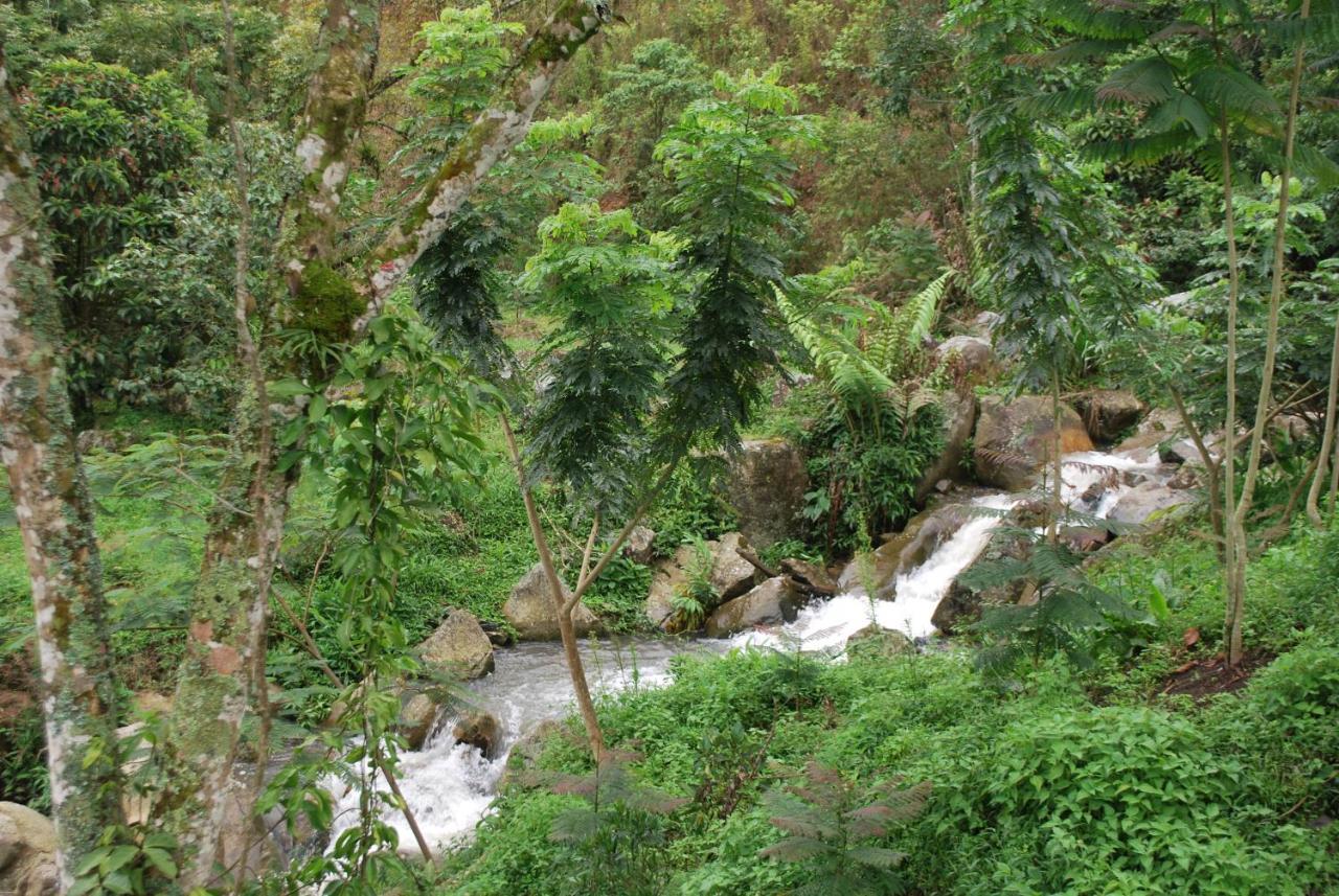 Finca Jardin Del Agua Sasaima Exterior photo
